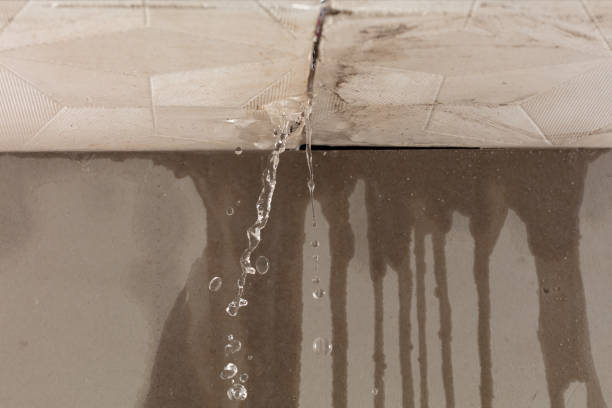 Professional Water Damage Repair technician working in Crandall, TX